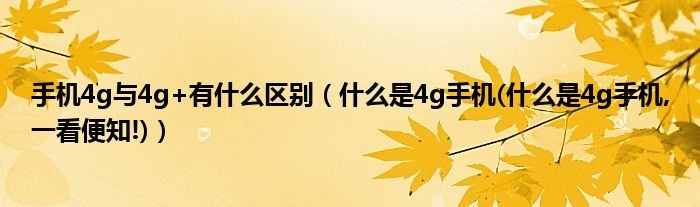 手机4g与4g+有什么区别【什么是4g手机(什么是4g手机,一看便知!)】