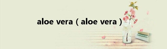 aloe vera【aloe vera】