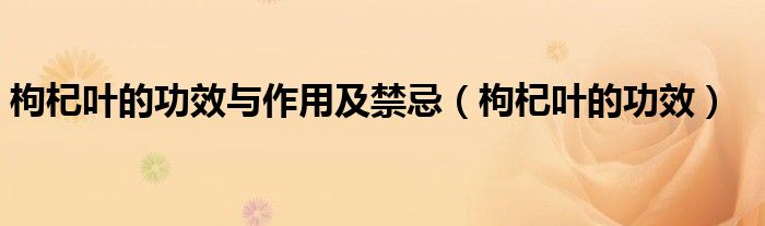 枸杞叶的功效与作用及禁忌【枸杞叶的功效】