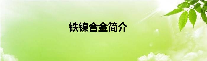 铁镍合金简介