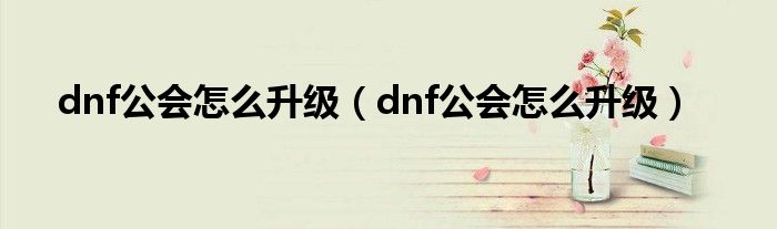 dnf公会怎么升级【dnf公会怎么升级】