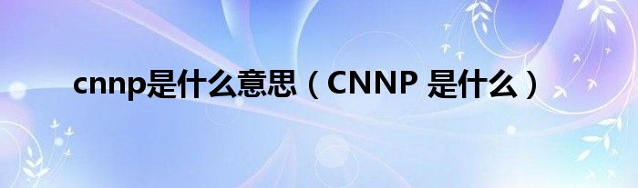 cnnp是什么意思【CNNP 是什么】