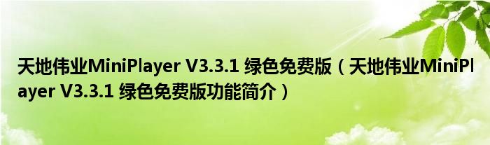 天地伟业MiniPlayer V3.3.1 绿色免费版【天地伟业MiniPlayer V3.3.1 绿色免费版功能简介】