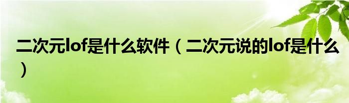 二次元lof是什么软件【二次元说的lof是什么】