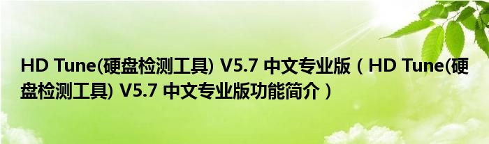 HD Tune(硬盘检测工具) V5.7 中文专业版【HD Tune(硬盘检测工具) V5.7 中文专业版功能简介】