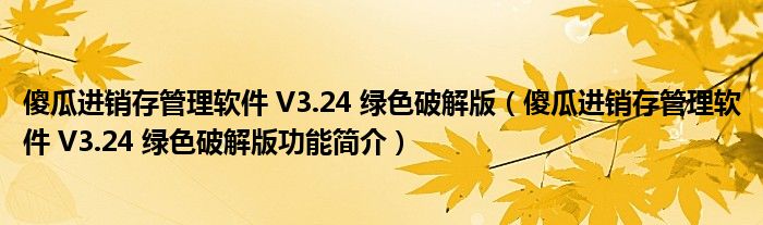 傻瓜进销存管理软件 V3.24 绿色破解版【傻瓜进销存管理软件 V3.24 绿色破解版功能简介】