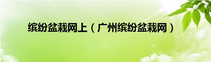 缤纷盆栽网上【广州缤纷盆栽网】