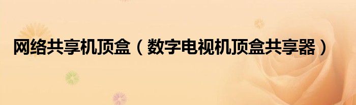 网络共享机顶盒【数字电视机顶盒共享器】