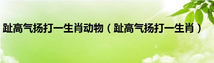 趾高气扬打一生肖动物【趾高气扬打一生肖】