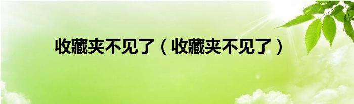 收藏夹不见了【收藏夹不见了】