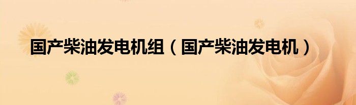 国产柴油发电机组【国产柴油发电机】