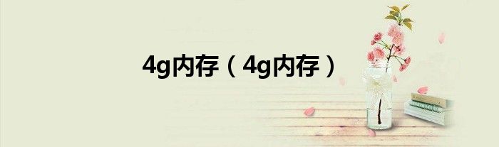 4g内存【4g内存】