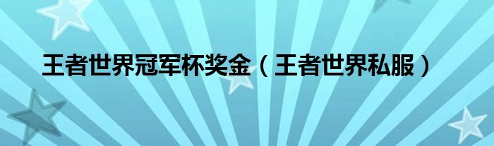 王者世界冠军杯奖金【王者世界私服】