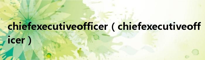 chiefexecutiveofficer【chiefexecutiveofficer】