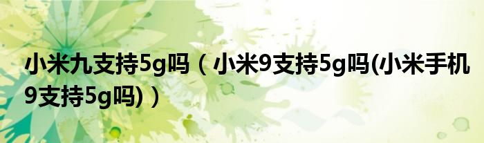 小米九支持5g吗【小米9支持5g吗(小米手机9支持5g吗)】