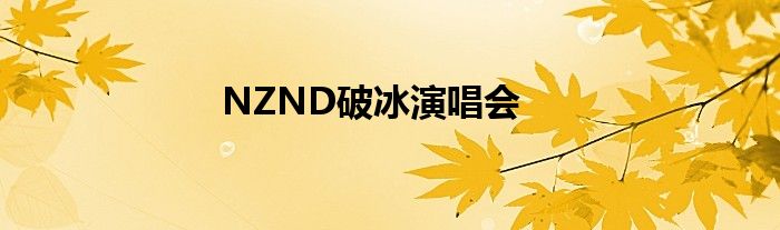 NZND破冰演唱会