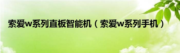 索爱w系列直板智能机【索爱w系列手机】