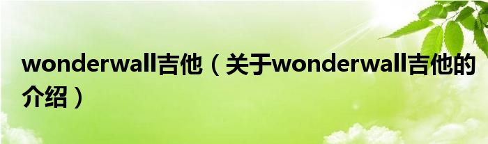 wonderwall吉他【关于wonderwall吉他的介绍】