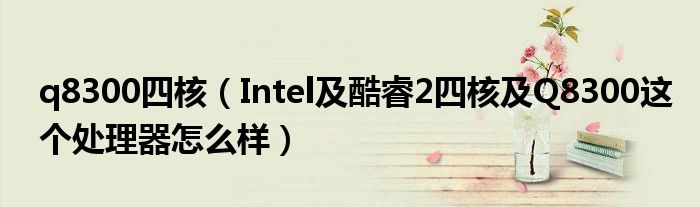 q8300四核【Intel及酷睿2四核及Q8300这个处理器怎么样】