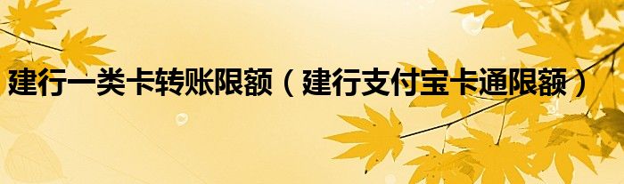 建行一类卡转账限额【建行支付宝卡通限额】