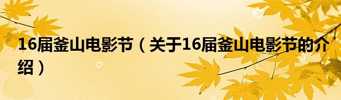 16届釜山电影节【关于16届釜山电影节的介绍】