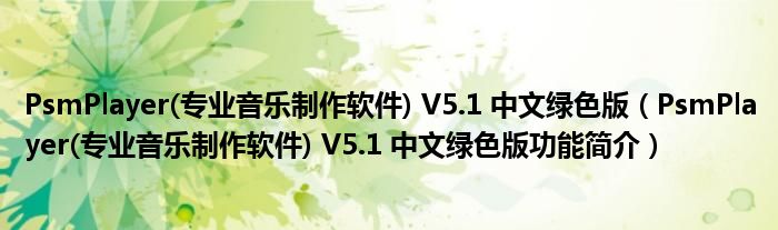 PsmPlayer(专业音乐制作软件) V5.1 中文绿色版【PsmPlayer(专业音乐制作软件) V5.1 中文绿色版功能简介】