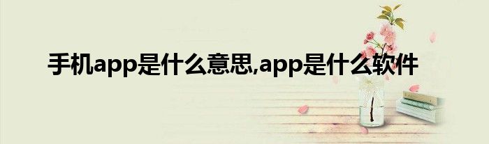 手机app是什么意思,app是什么软件