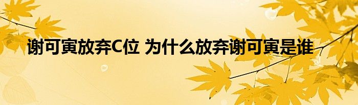 谢可寅放弃C位 为什么放弃谢可寅是谁