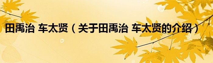 田禹治 车太贤【关于田禹治 车太贤的介绍】