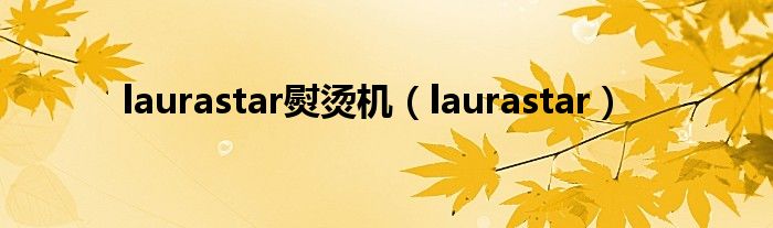 laurastar熨烫机【laurastar】