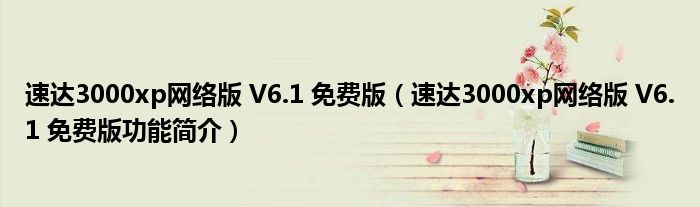 速达3000xp网络版 V6.1 免费版【速达3000xp网络版 V6.1 免费版功能简介】