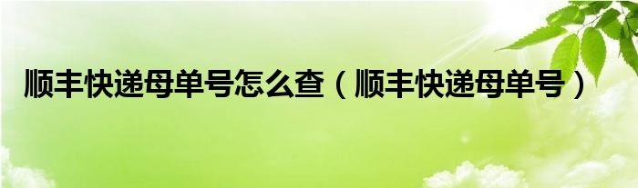 顺丰快递母单号怎么查【顺丰快递母单号】