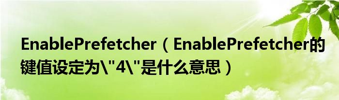 EnablePrefetcher【EnablePrefetcher的键值设定为"4"是什么意思】