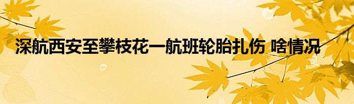 深航西安至攀枝花一航班轮胎扎伤 啥情况