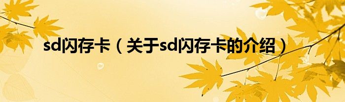 sd闪存卡【关于sd闪存卡的介绍】