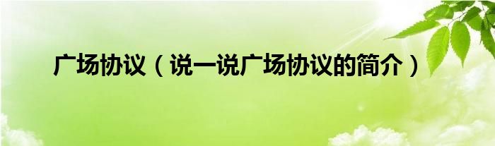 广场协议【说一说广场协议的简介】