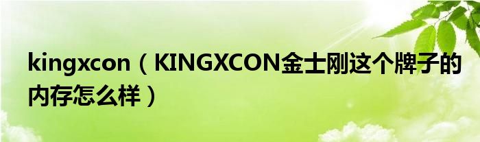 kingxcon【KINGXCON金士刚这个牌子的内存怎么样】