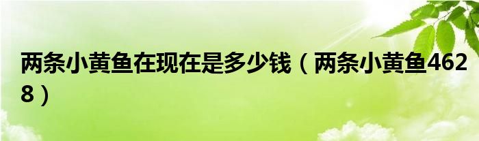 两条小黄鱼在现在是多少钱【两条小黄鱼4628】