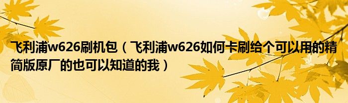 飞利浦w626刷机包【飞利浦w626如何卡刷给个可以用的精简版原厂的也可以知道的我】