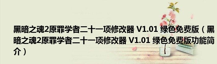 黑暗之魂2原罪学者二十一项修改器 V1.01 绿色免费版【黑暗之魂2原罪学者二十一项修改器 V1.01 绿色免费版功能简介】