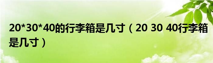 20*30*40的行李箱是几寸【20 30 40行李箱是几寸】