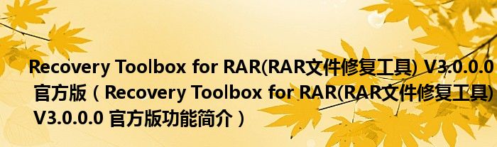 Recovery Toolbox for RAR(RAR文件修复工具) V3.0.0.0 官方版【Recovery Toolbox for RAR(RAR文件修复工具) V3.0.0.0 官方版功能简