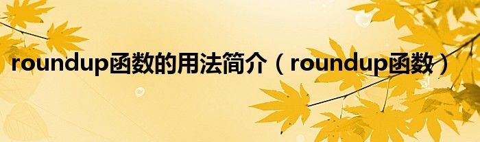 roundup函数的用法简介【roundup函数】