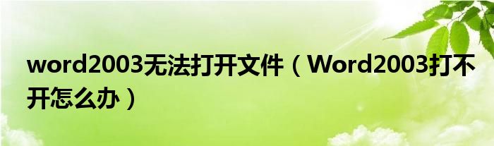 word2003无法打开文件【Word2003打不开怎么办】