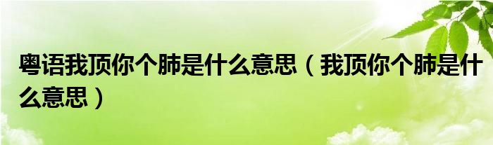 粤语我顶你个肺是什么意思【我顶你个肺是什么意思】