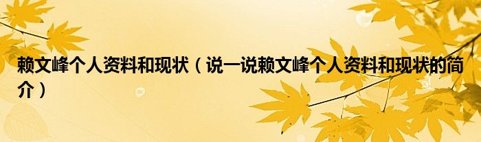 赖文峰个人资料和现状【说一说赖文峰个人资料和现状的简介】