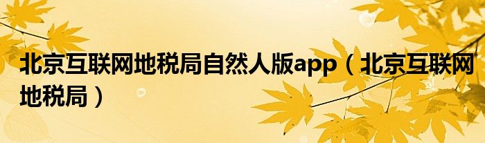 北京互联网地税局自然人版app【北京互联网地税局】