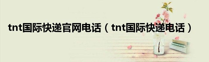 tnt国际快递官网电话【tnt国际快递电话】