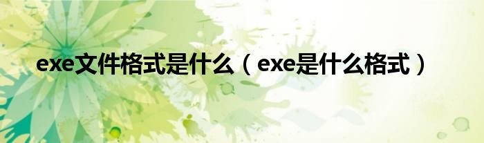 exe文件格式是什么【exe是什么格式】