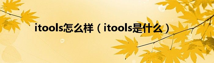 itools怎么样【itools是什么】